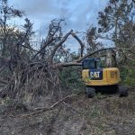 Land Clearing