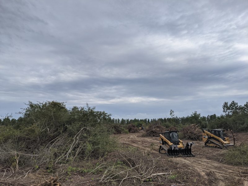 Land Clearing in Alford, Florida