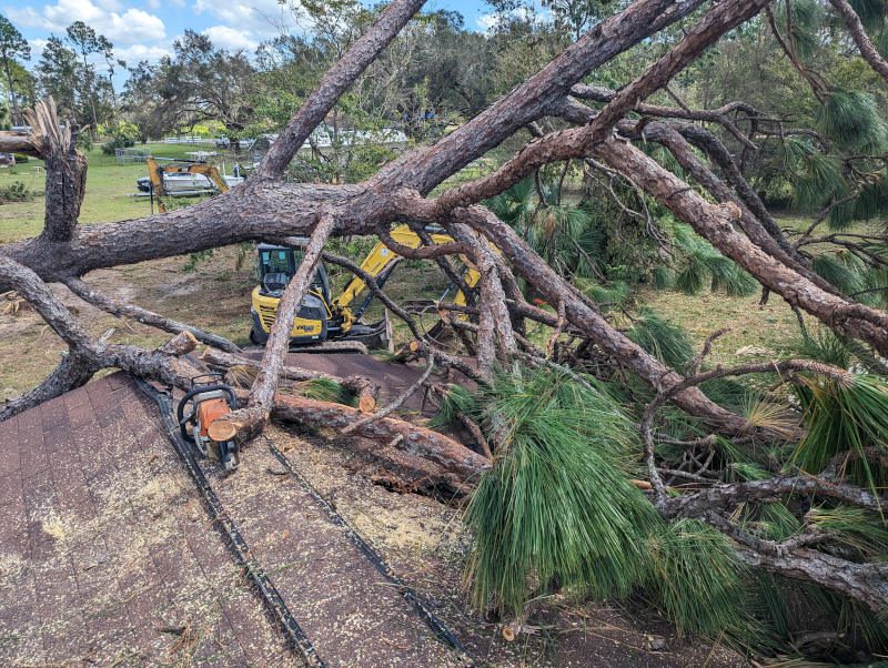 Debris Cleanup in Alford, Florida