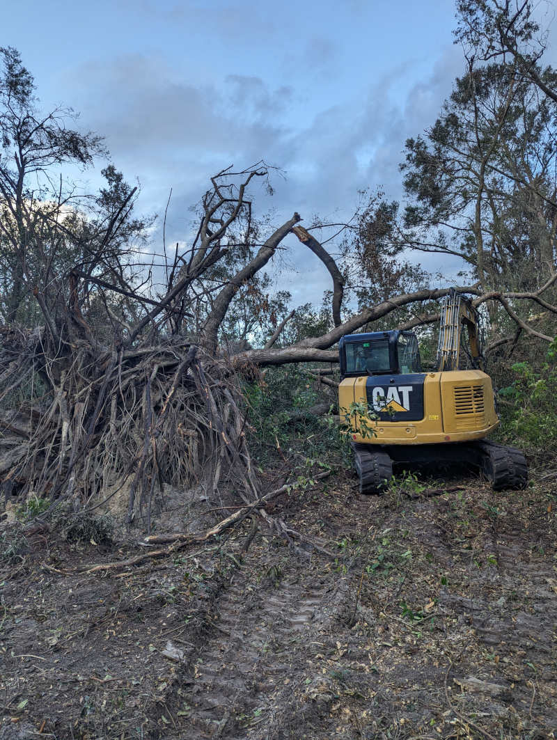 Debris Cleanup in Alford, Florida