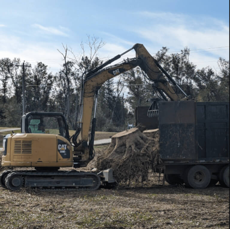 Land Clearing