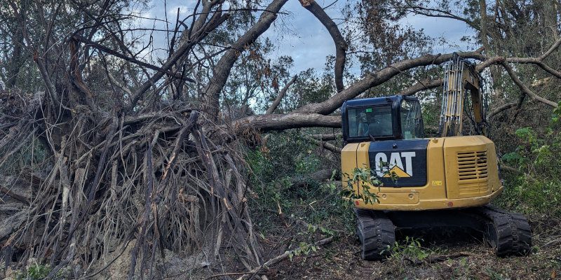 Land Clearing in Youngstown, Florida