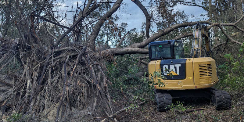 Brush Moving in Alford, Florida