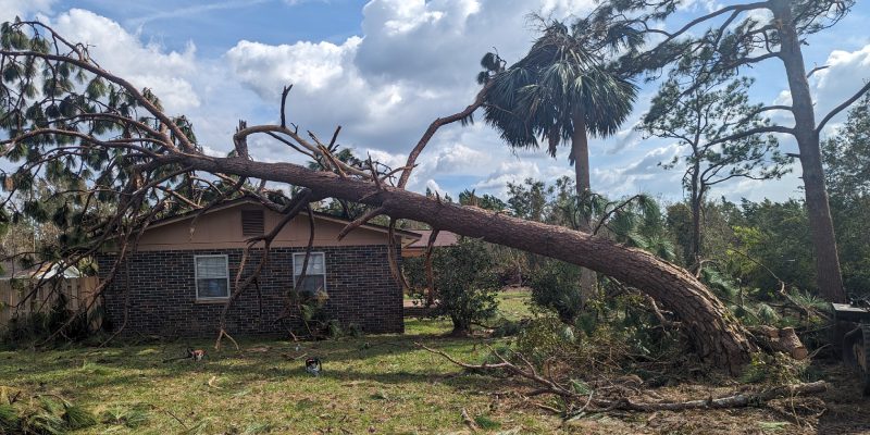 Debris Cleanup in Cottondale, Florida