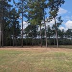 Land Clearing