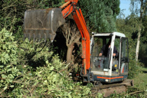 4 Things You Should Know About Land Clearing