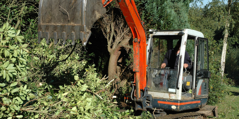 4 Things You Should Know About Land Clearing